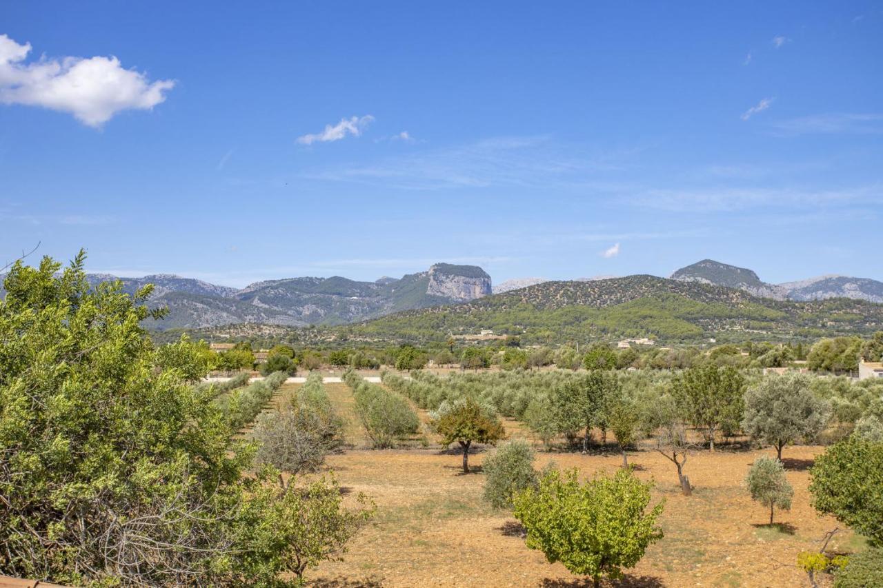 Villa Es Triquet Family Binissalem Exterior photo