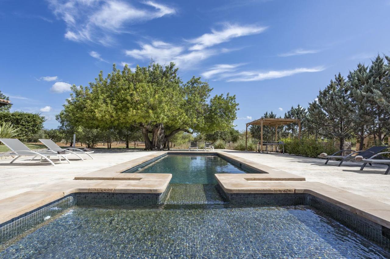 Villa Es Triquet Family Binissalem Exterior photo